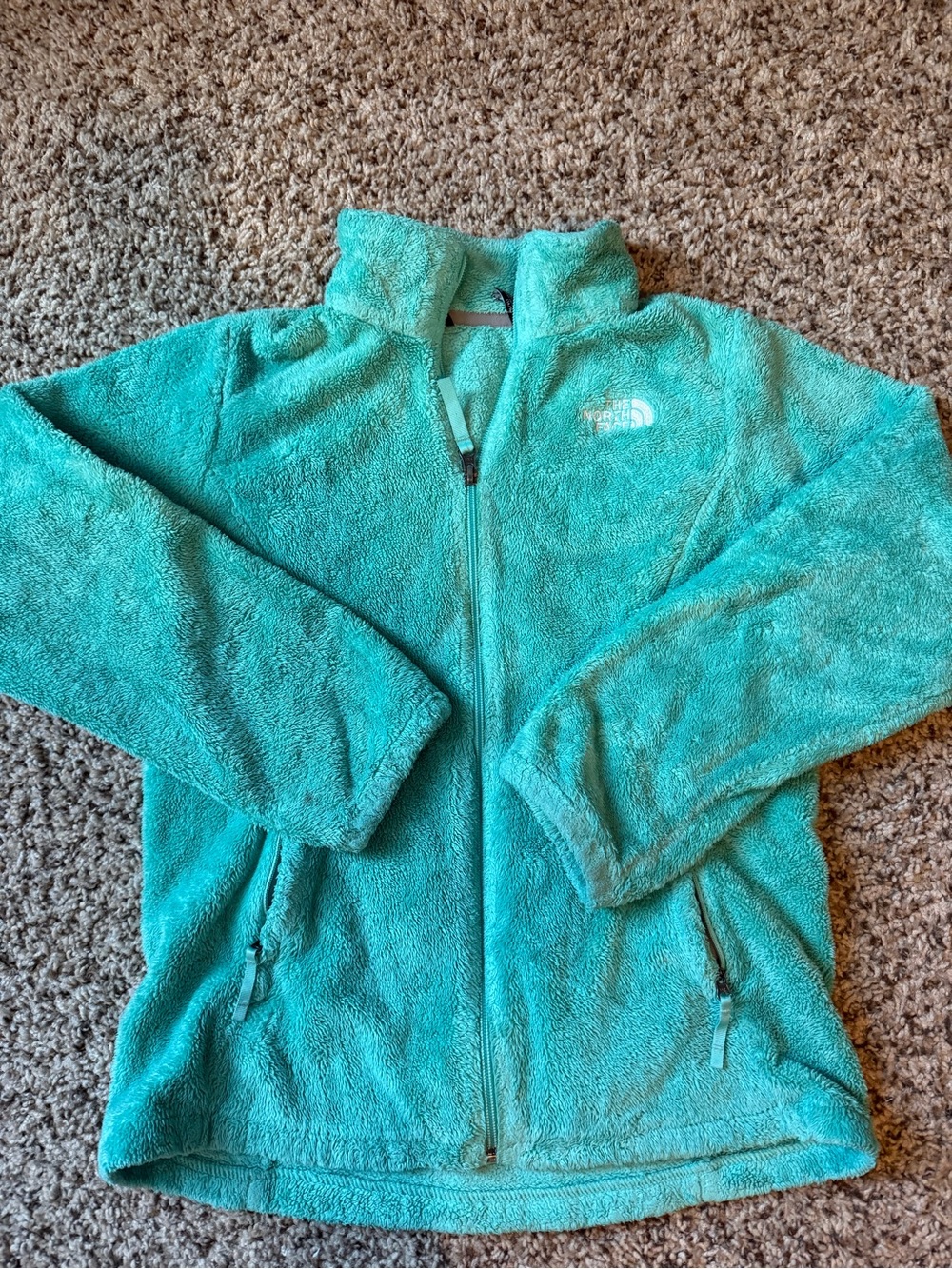 North face Teal Plush Full-Zip Fleece Jacket